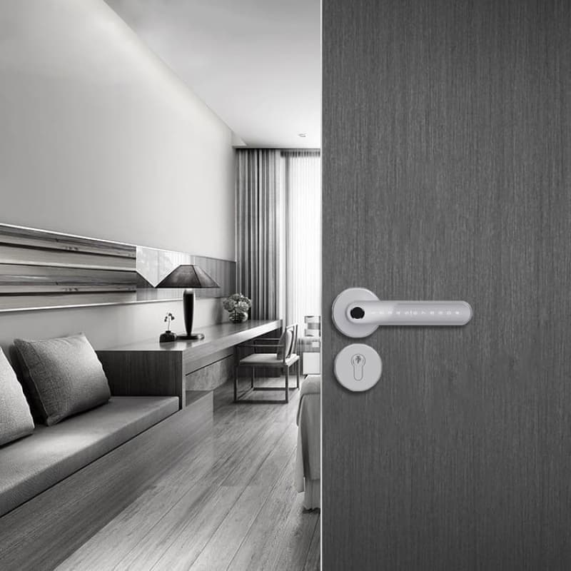 SYDNEY SILVER încuietoare smart cu amprentă, Bluetooth, WiFi, cod PIN, card RFID, cheie 2