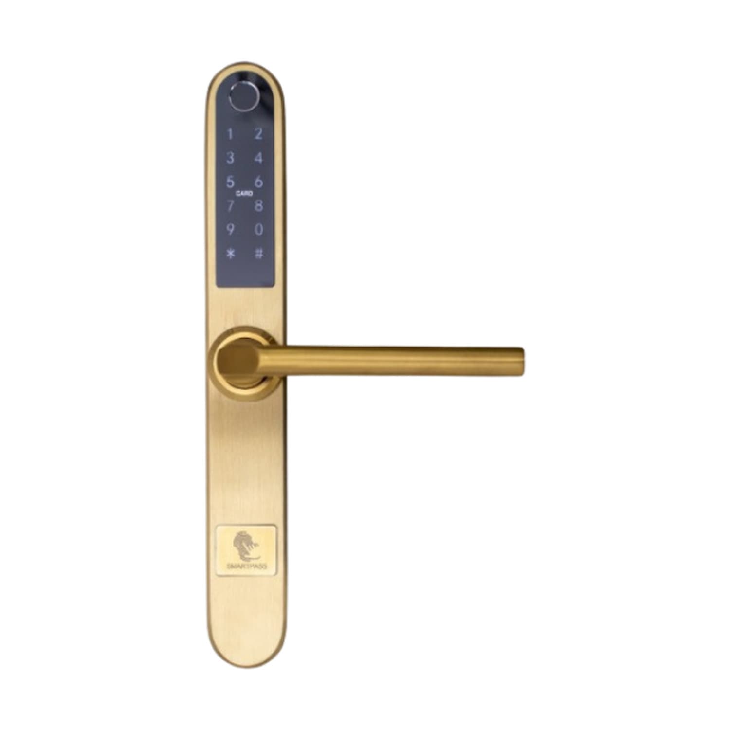 MONACO GOLD încuietoare smart cu amprentă, Bluetooth, WiFi, cod PIN, card RFID, cheie