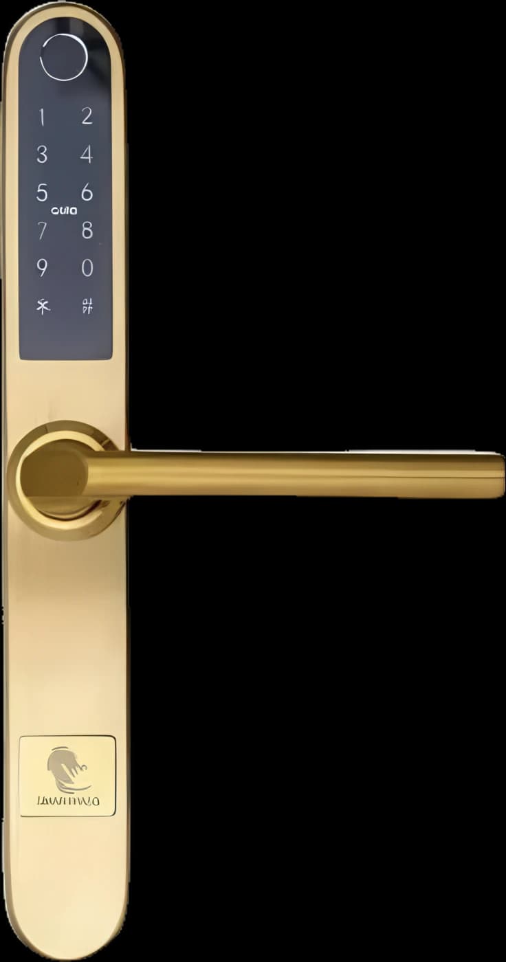 MONACO GOLD smart lock with fingerprint, Bluetooth, WiFi, PIN code, RFID card, key