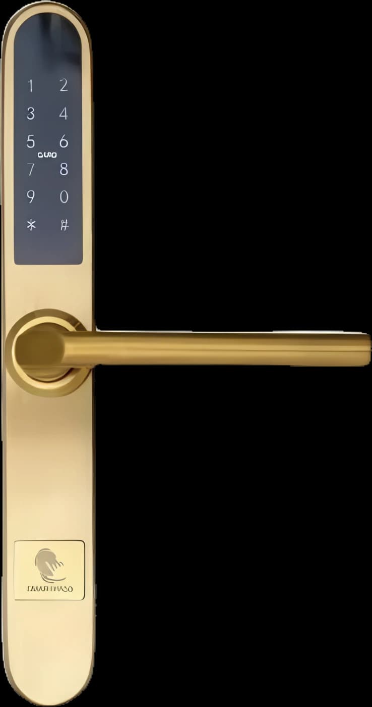 PARIS GOLD smart lock with Bluetooth, WiFi, PIN, RFID card, key
