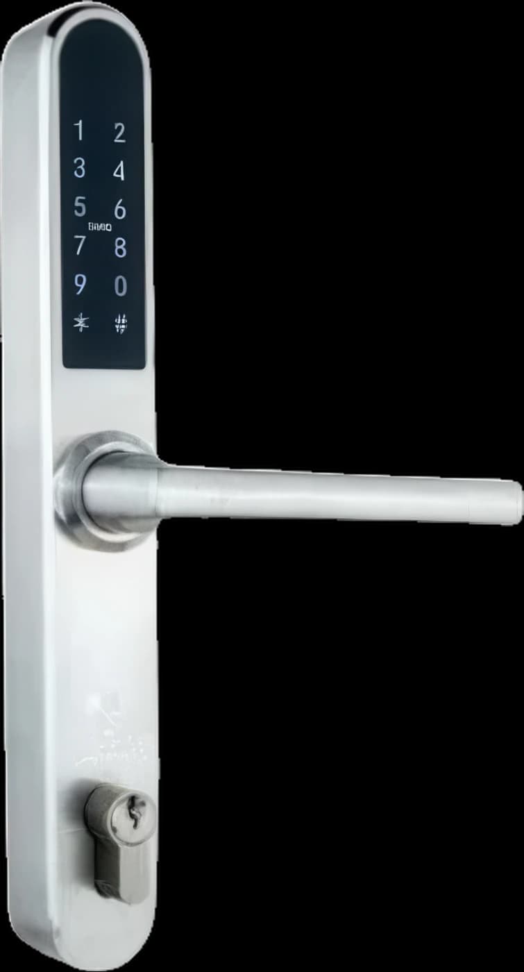 PARIS SILVER C72 smart lock with Bluetooth, WiFi, PIN code, RFID card, key