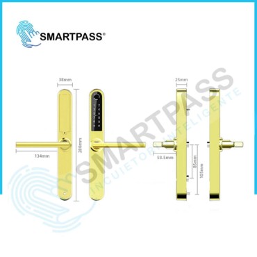 MONACO GOLD încuietoare smart cu amprentă, Bluetooth, WiFi, cod PIN, card RFID, cheie