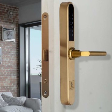PARIS GOLD încuietoare inteligentă cu Bluetooth, WiFi, PIN, card RFID, cheie