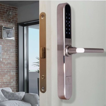 PARIS SILVER încuietoare inteligentă cu Bluetooth, WiFi, PIN, card RFID, cheie