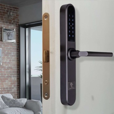 PARIS TITAN încuietoare inteligentă cu Bluetooth, WiFi, PIN, card RFID, cheie