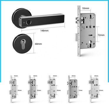 VEGAS SILVER încuietoare smart cu amprentă, Bluetooth, WiFi, cheie